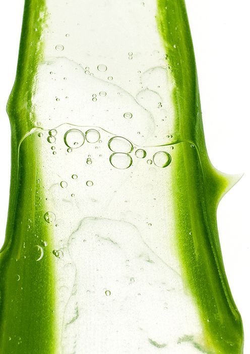 Firm Shed | Algae Clay Mask